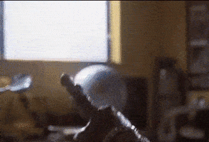 TunjukGIF.gif