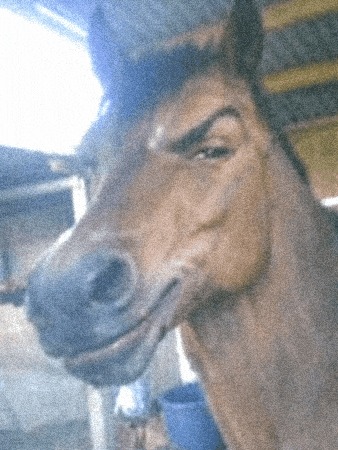 u1FZcaDYnQFBMMdN5E.gif