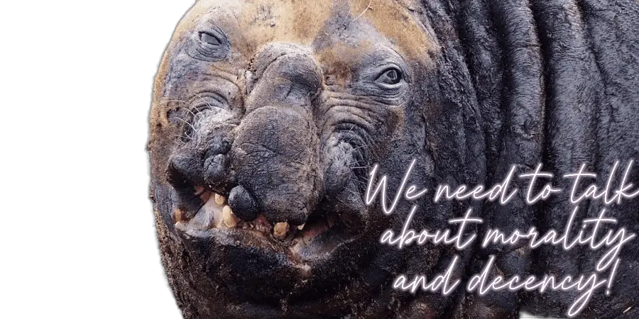 ugly-animals-seelöwe talk.webp