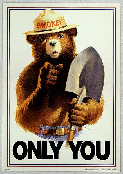 Uncle_Sam_style_Smokey_Bear_Only_You.jpg