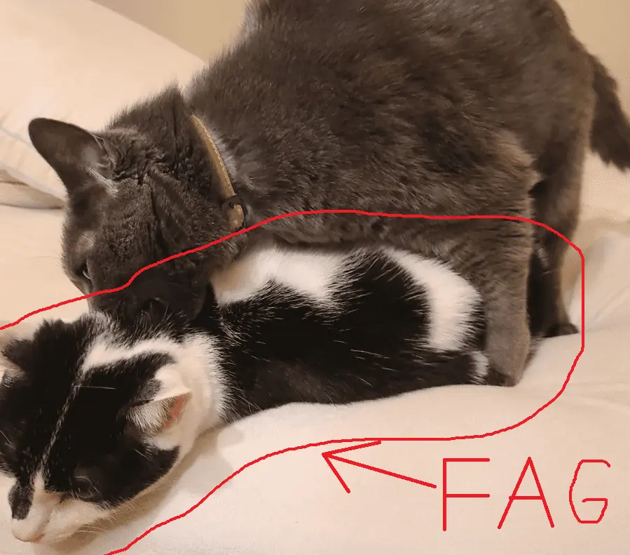 Untitled.webp