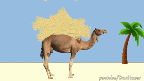 Vb7tHbMVZ-NfpEkl9K2zLA.gif