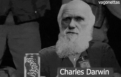 VFAke5Xm1TDwjgimyW (3).gif