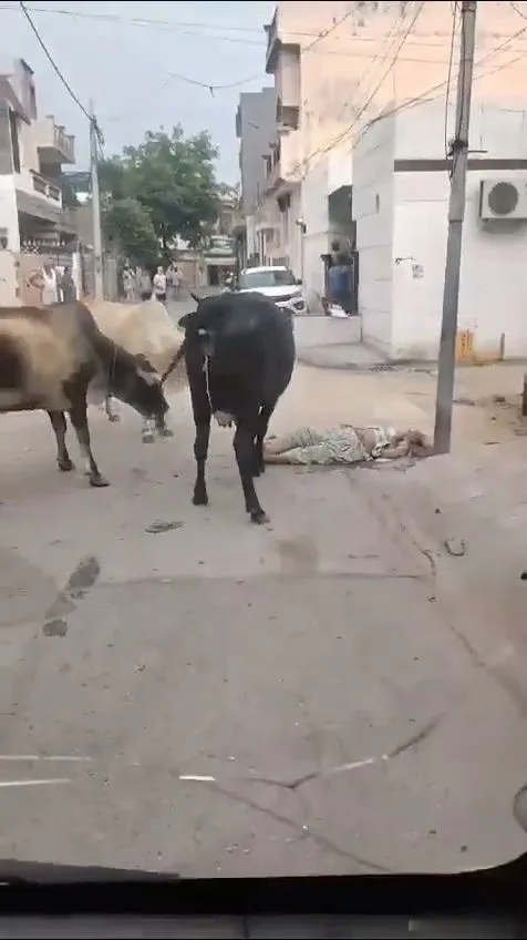 VideoCapture_20241006-132417.webp
