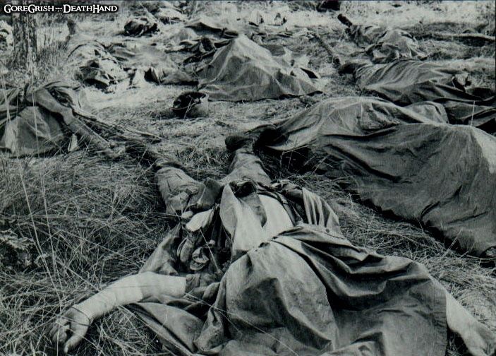 vietnam-us-1st-cav-dead-Ia-Drang-Valley-nov1965.jpg