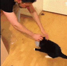 VlJDrjSn7fw1G.gif
