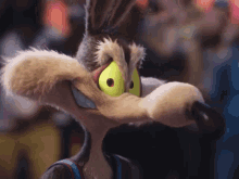 wile-e-coyote.gif