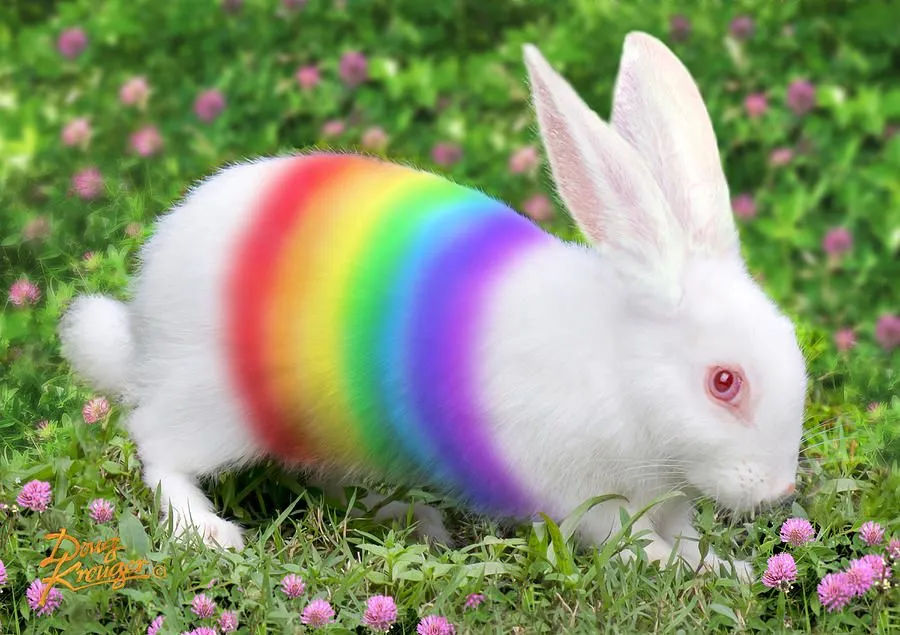 woke-assed bunny.webp