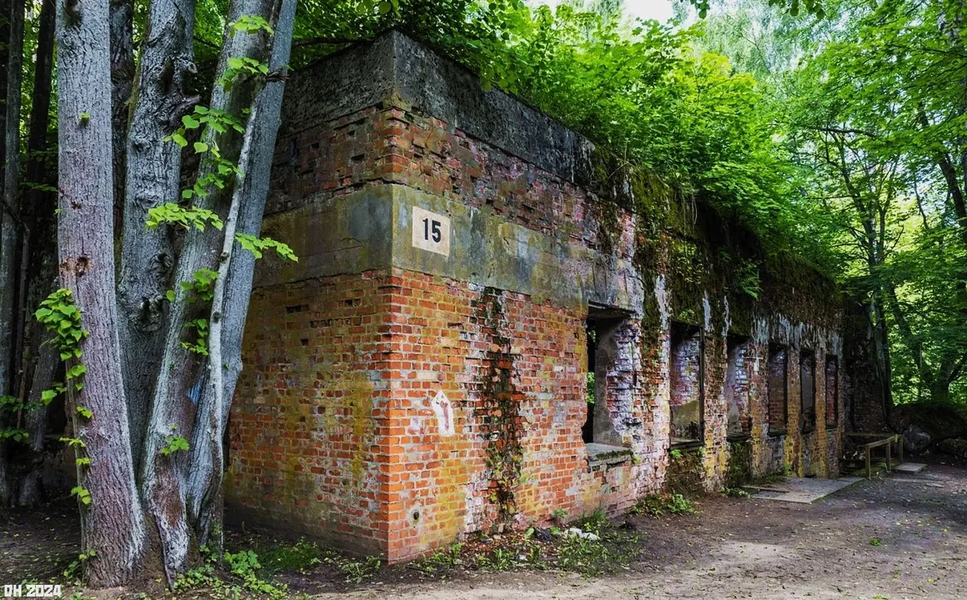 Wolfs Lair 2 - Poland.webp