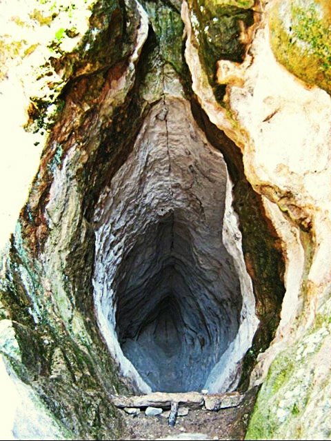 Womb_Cave_TanKaya_BG.webp