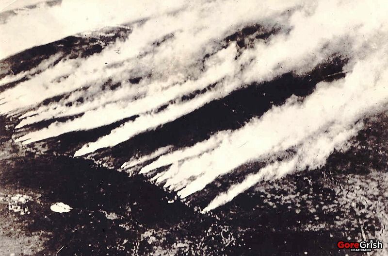 ww1-aerial-view-chlorine-gas-attack-Eastern-Front.jpg