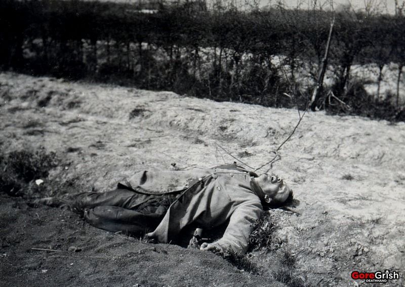 ww1-dead-french-soldier-stomach-shot.jpg