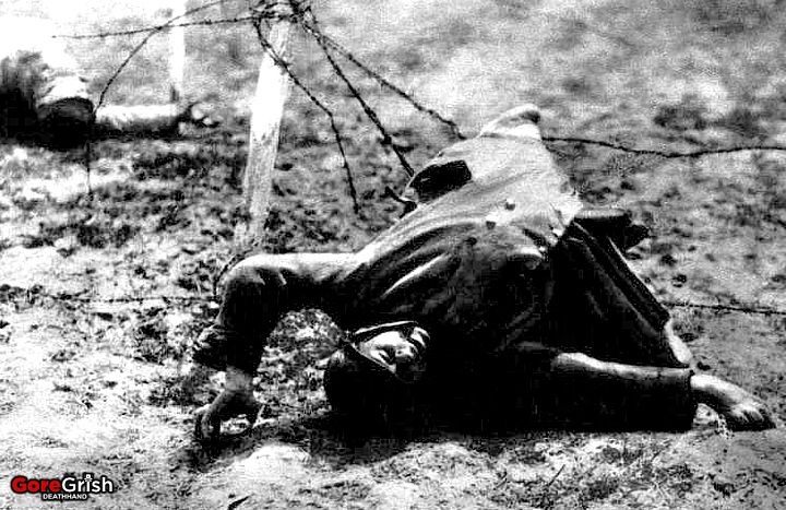 ww1-dead-french-soldier-Verdun.jpg