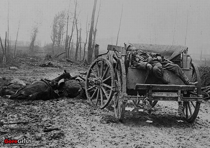 ww1-dead-german-artilleryman.jpg