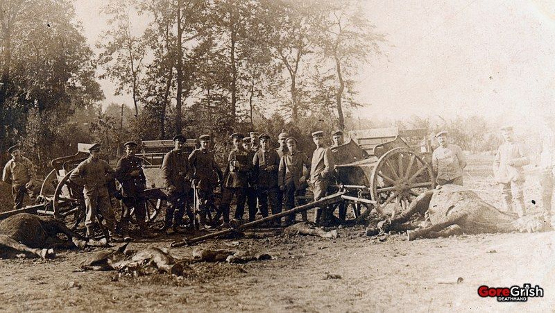 ww1-dead-horses-of-german-artillery-carriages.jpg