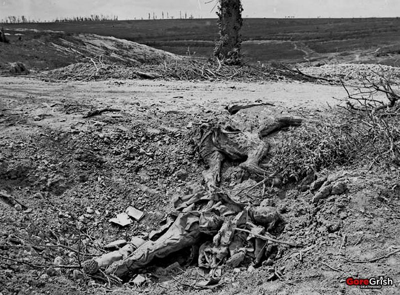 ww1-dirt-caked-remains-of-german-and-horse.jpg