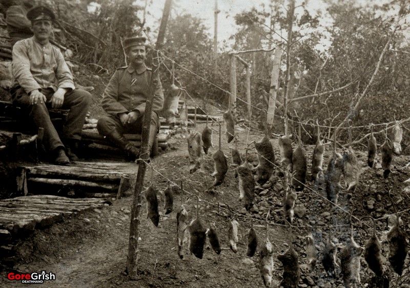 ww1-german-soldiers-with-catch-of-rats-Argonne-1916.jpg