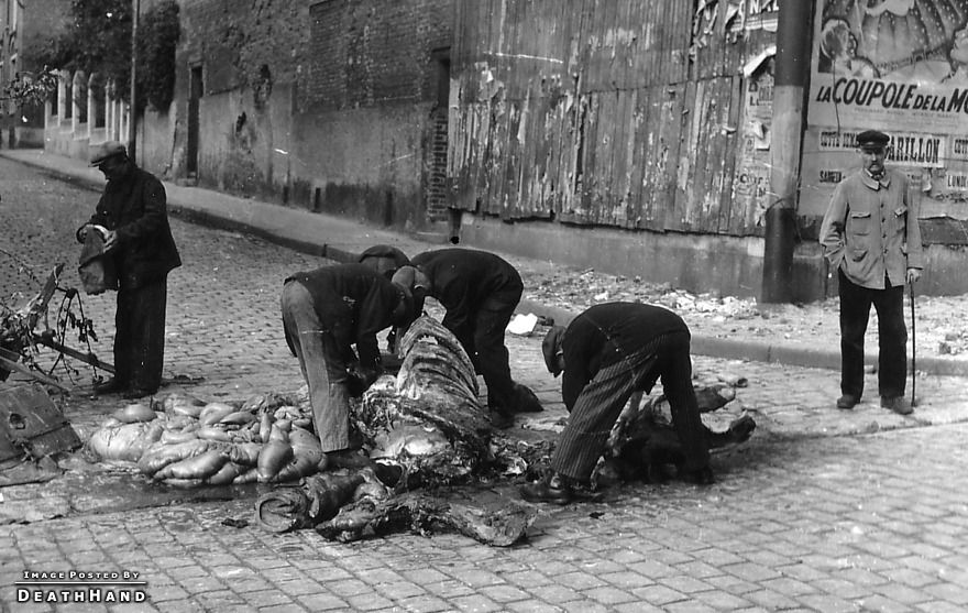ww2-civilians-carve-meat-from-dead-horse2-Saint-Quentin-France-sep3-1944.jpg