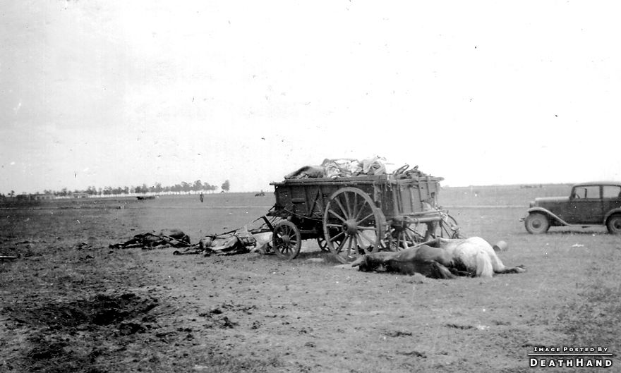 ww2-dead-refugees-in-cart-after-attack-Unknown.jpg