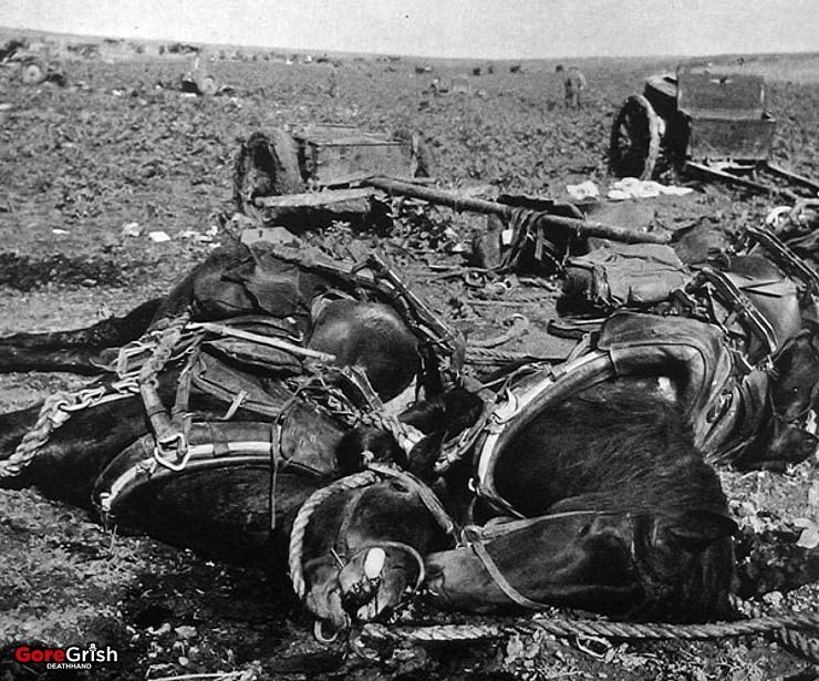 ww2-Op-Barbarossa1-knocked-out-red-convoy-Ukraine-jun-dec1941.jpg