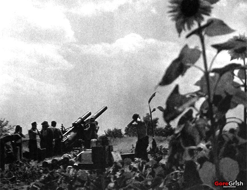 ww2-Op-Barbarossa11-german-artillery-Ukraine-jun-dec1941.jpg