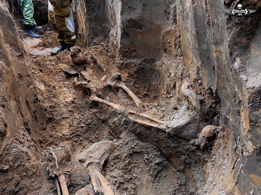 ww2-soviet-soldiers-unearthed-from-trench-case-blue-14-Sauk-Dere-RU-may-2015.jpg
