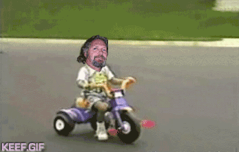 wxl7wnv93jqluvwd6r.gif
