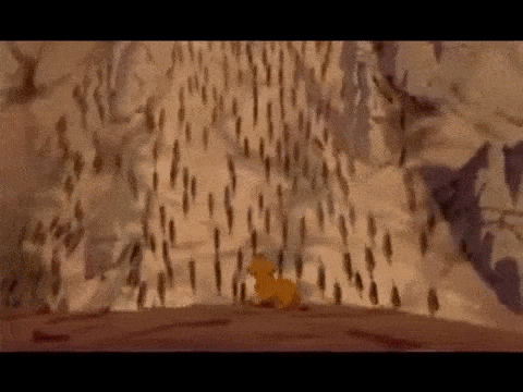 xCCT8e.gif