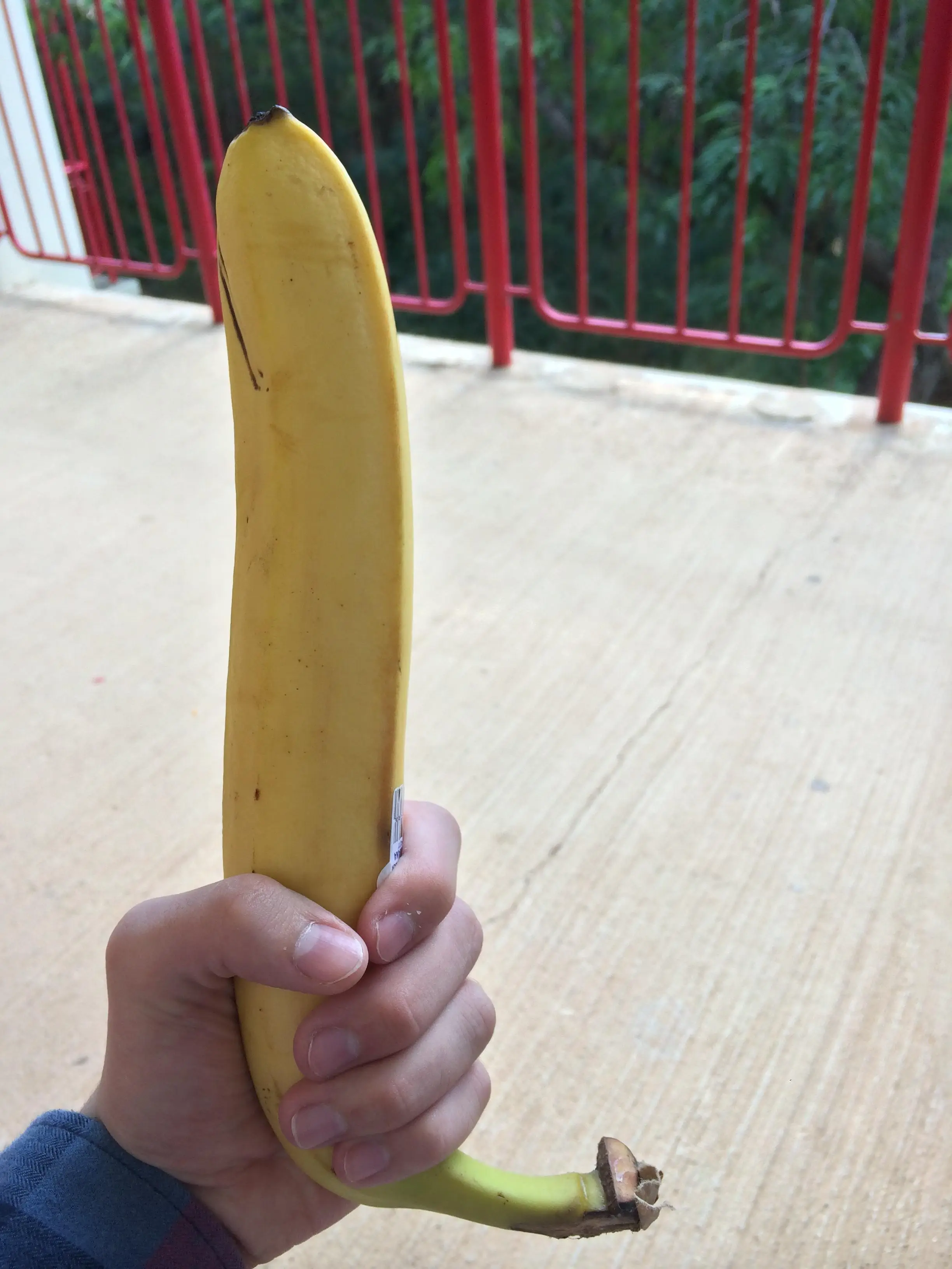 XNUqTjj.webp