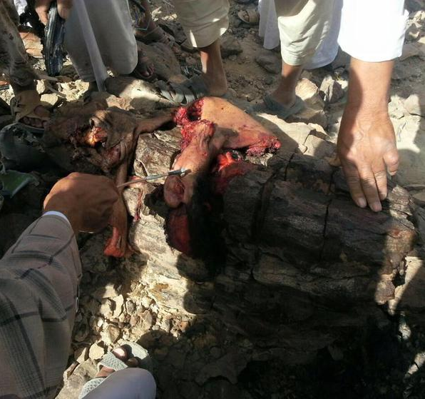 Yemen fighter plane down4.png