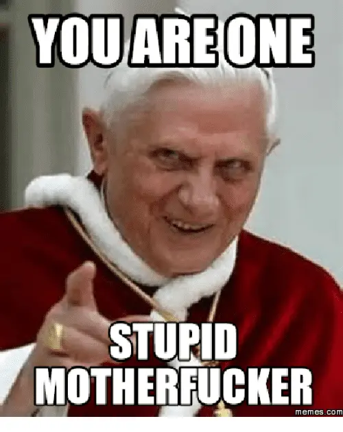 you-are-one-stupid-motherfucker-memes-com-17945257.webp