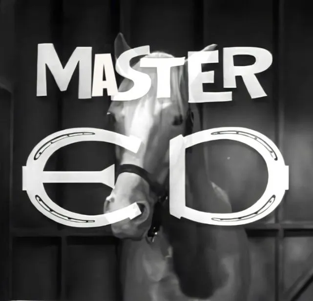 zmastered.webp