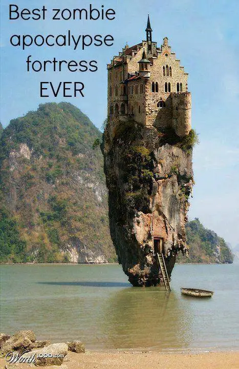 Zombie FOrt.webp