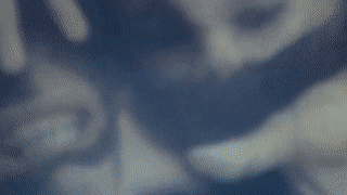 zone.gif