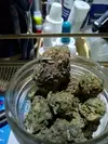 weeds.webp