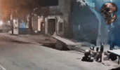 reifen explo typ fliegt.gif