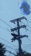 cable thief.gif
