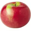 mcintosh_variety-page.webp