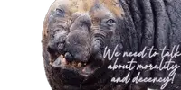 ugly-animals-seelöwe talk.webp