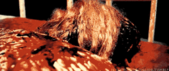 tumblr_me6nau82XM1rldcbjo3_500.gif