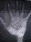 15.webp