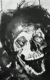 f13.webp