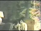 n10.webp
