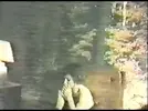 n12.webp