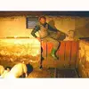 42.webp