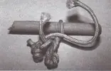 17.webp