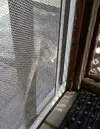 20130320_172911-1.webp
