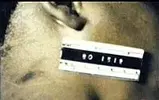 d13.webp