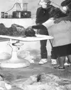 images (1).webp