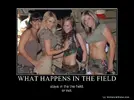 69849.webp